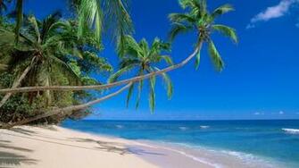 Nature Fiji Beaches Wallpaper