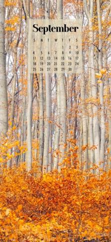 September Calendar Wallpaper Best Desktop Phone Background