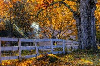 Autumn In Maine Foliage Sebec
