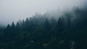 Chill Wallpaper That Don T Hurt Your Eyes At Night