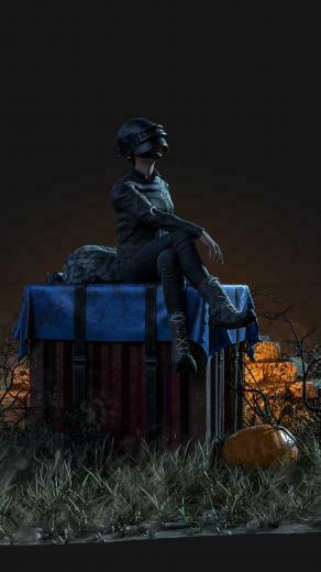 Pubg Girl Sitting On Air Drop Box 4k Ultra HD Mobile Wallpaper