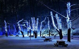 Winter Pics For Wallpaper Image