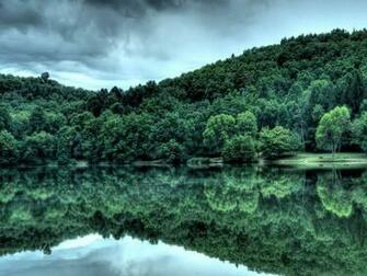 Tropical Rainforest Wallpaper