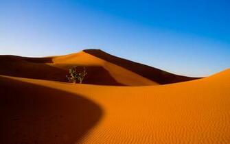 Desert Computer Wallpaper Desktop Background Id