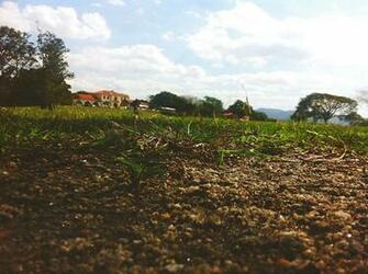 Agronomy 1080p 2k 4k 5k HD Wallpaper