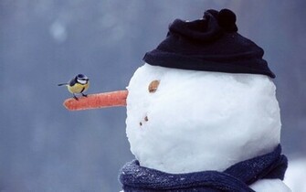 Watching The Snowman Wallpaper Desktop