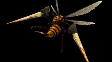 Screenheaven 3d Beedrill Pokemon Desktop And Mobile