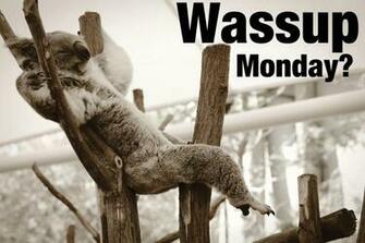 Funny Happy Monday Pictures Kolas Wallpaper Jpg
