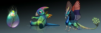Dragon City Peacock Evolution By Ultimatetattts
