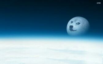 Doge Background For Desktop Wallpaper X Px Kb