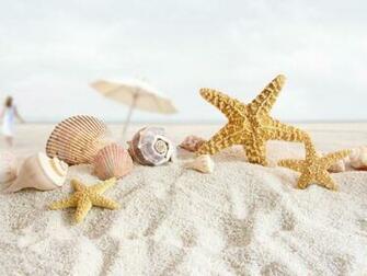 Summer Sea Shells