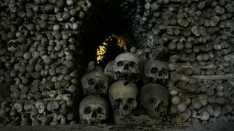 Skull Wallpaper For Windows