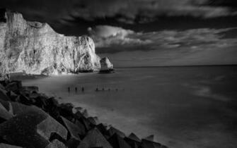 Black And White Nature Wallpaper