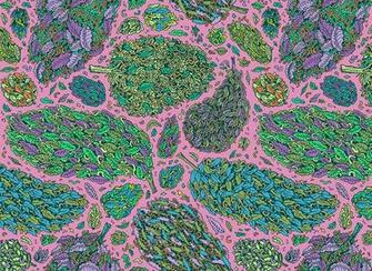 My Girlfriend Drew Many Highly Stylized Nugs A Few Months Ago