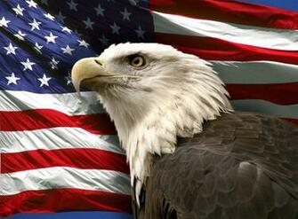 Patriotic Bald Eagle Wallpaper