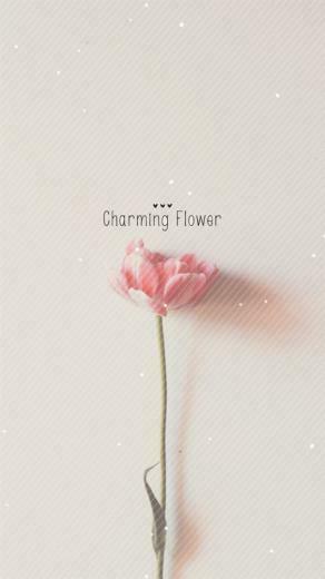 Flower Wallpaper iPhone Image