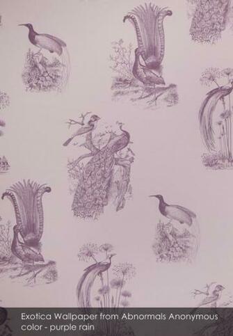 Exotica Wallpaper From Abnormals Anonymous In Purple Rain