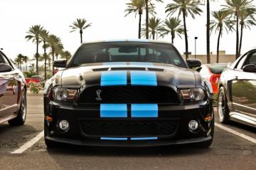 Wallpaper Face Black Snake Blue Hood Usa Sports Car Ford