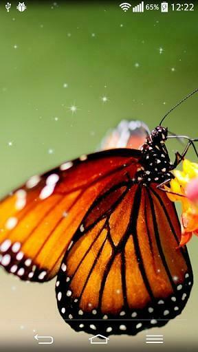 Butterfly Live Wallpaper Screenshot