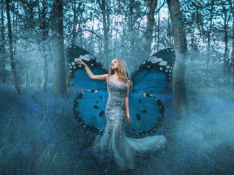 Fairy Forest Background Wallpaper