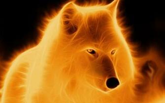 Fantasy Fire Wolf Wallpaper IwallHD HD