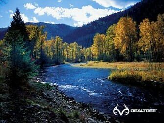 Picswallpaper Realtree For Computer Wallpaper