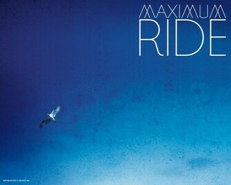 Maximum Ride Wallpaper