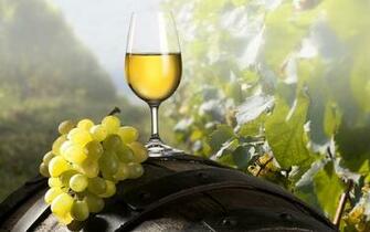 Grape Wine Glass Wallpaper And Image Pictures Photos
