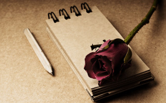Photography Still Life HD Wallpaper