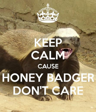 Honey Badger Dont Care Wallpaper Widescreen