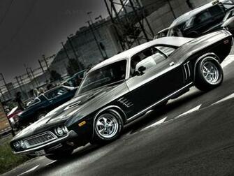 Sanchja L De American Muscle
