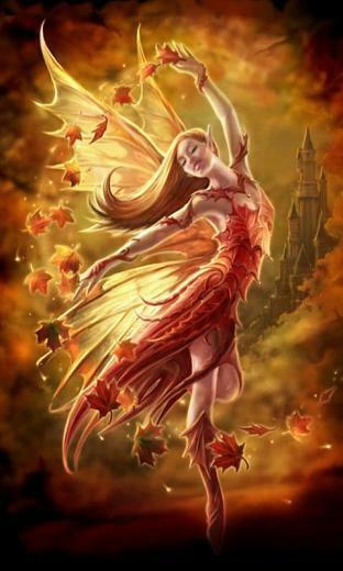This Wallpaper From Gallery Mobile9