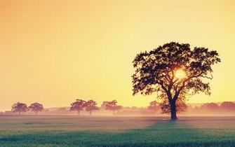Sunset Wallpaper Beautiful Landsacpe High Definition Pictures In