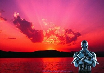 Vin Diesel Wallpaper Of Action Movie Actor