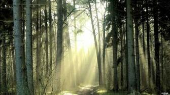 Widescreen Nature HD Wallpaper Image Desktop
