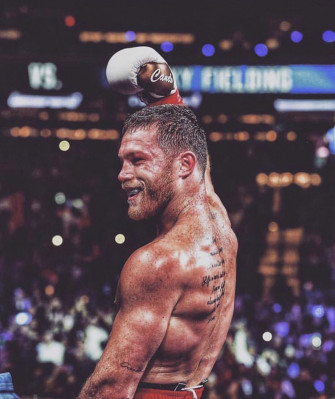 Santos Sa L Lvarez Barrag N Boxing Image Ufc