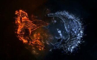 Fire Phoenix Vs Ice Wallpaper
