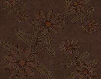 Source Url Smscs Photo Brown Html