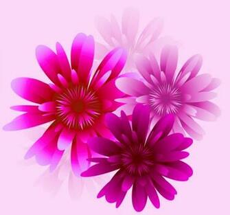 Bold Flower Related Keywords Suggestions Long Tail
