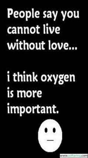 Funny Quotes Wallpaper Screen Resolution Mobile
