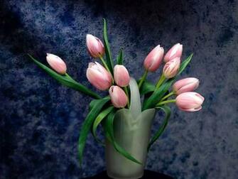 Petal Pushers Wallpaper HD