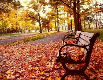 Fall Background Wallpaper Desktop