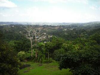 Scenery In Puerto Rico By Bianqui Creates