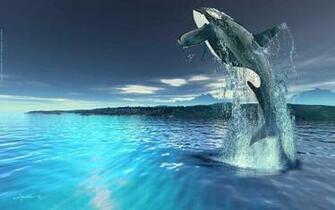 Killer Whale Live Wallpaper HD Gsfdcy