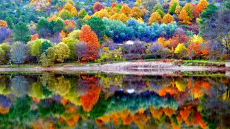 Autumn Scenery 4k HD Wallpaper Image