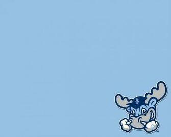 Blue Bulls Wallpaper