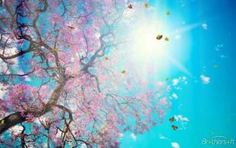 Fantastic Nature Screensaver