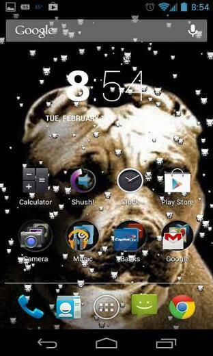 Pitbull Dog Live Wallpaper App To Your Android Phone Or Tablet