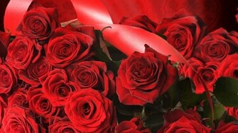 Rose Flower Wallpaper HD Background Image Art Photos