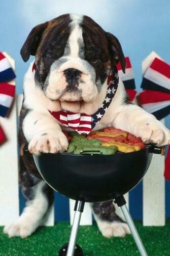 Happy 4th Of July Food Friends And Fun